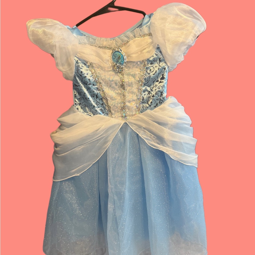 Disney Blue and White Theater Princess Costume